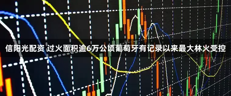 信阳光配资 过火面积逾6万公顷　葡萄牙有记录以来最大林火受控